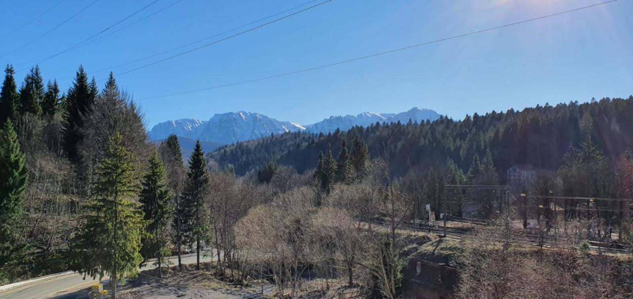 Pensiunea Alpin Predeal Dış mekan fotoğraf